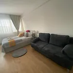 City Center Apartments Am Schwedenplatz