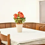 Charming Spacious Apartment