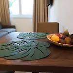 Easy Flat Hyrtlgasse