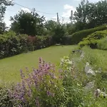 Cosy Room In House With Garden