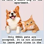 Your Home