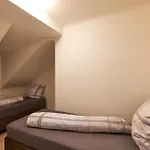 Schoenbrunn Palace Loft Apartment With Free Parking 24H Check-In