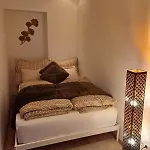 Apartment Vis A Vis Schoenbrunn With Private Parking