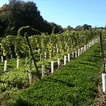 Exquisites Gartenapartment In Eleganter Jugendstilvilla