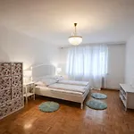 Wohnen Im Herzen Von Wien II