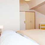 Riess Apartments Trambauerstrasse | Contactless Check-In