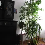 Art Nouveau Apartment