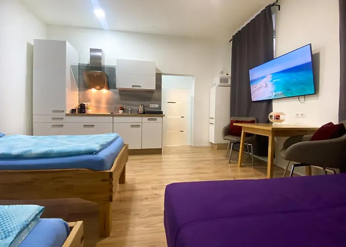 Vienna Senator Flat Paulusgasse
