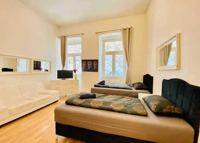 Cozy Studio Lg
