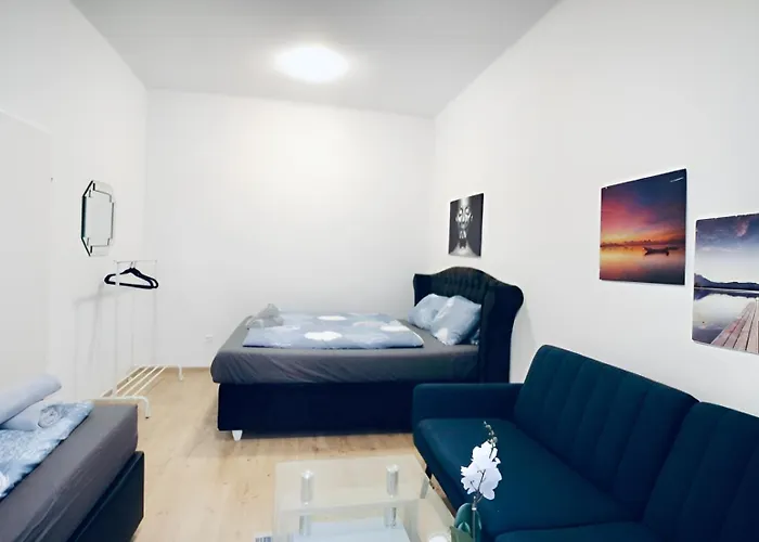 Spacious Cozy 1Br Apt Near To Danube River