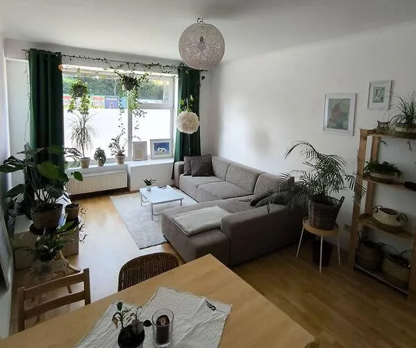 Bright Flat Next To Schoenbrunn