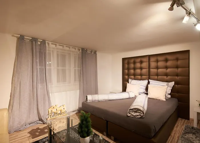 Schoenbrunn Palace Loft Apartment With Free Parking 24H Check-In