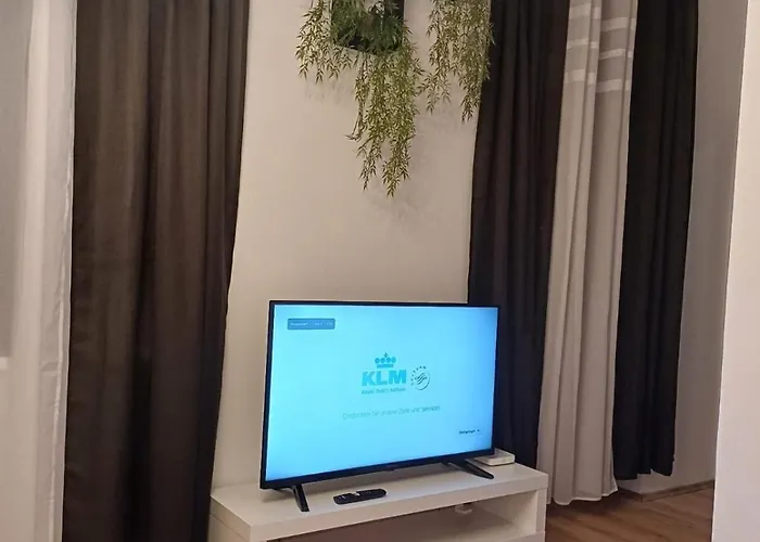 Apartment Vis A Vis Schoenbrunn With Private Parking