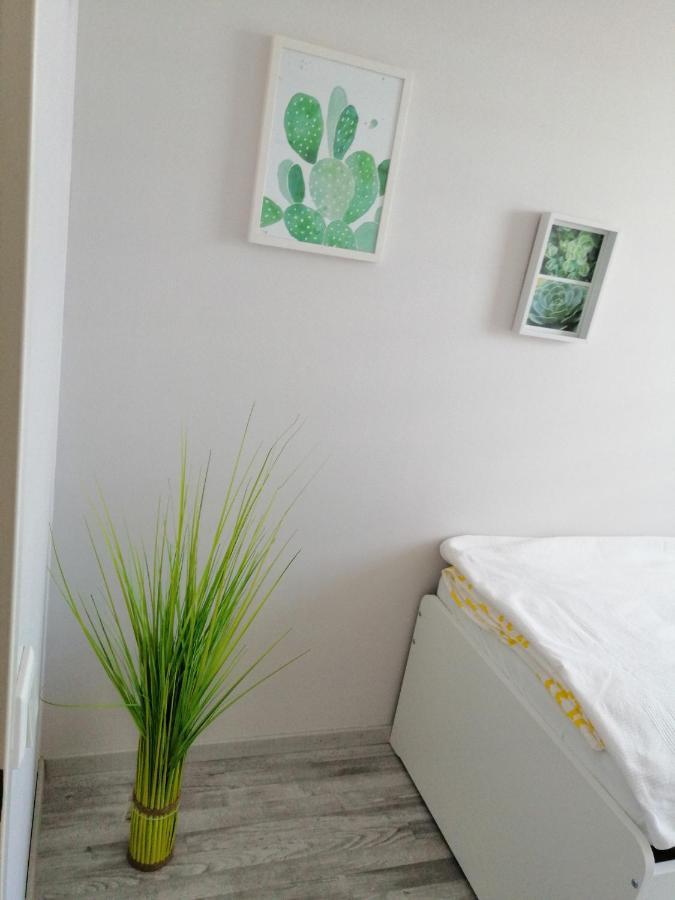 Apartament Dino *