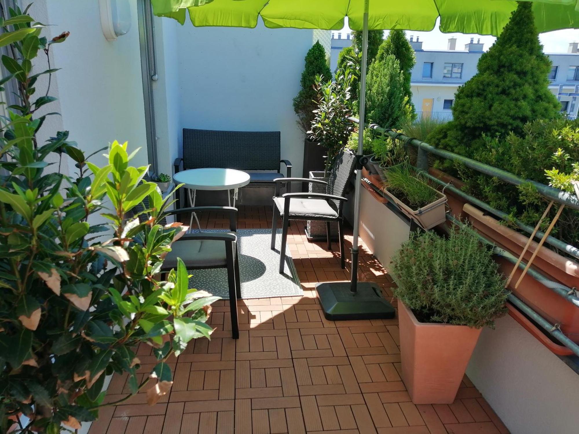 Apartament Dino Apartment *