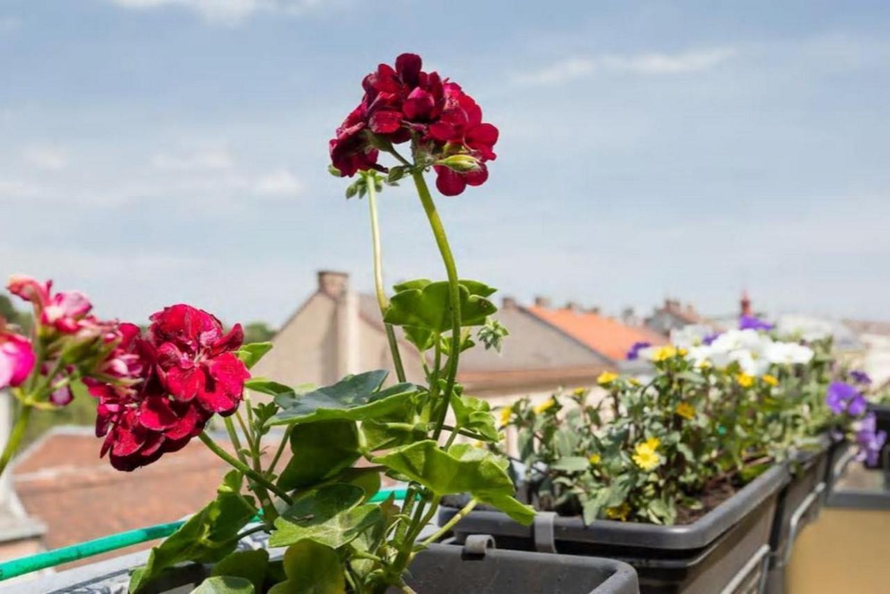 Visit Roof Terrace Morning Sun Vienna