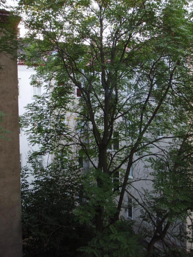 Apartment Augartenblick Penthaus 16