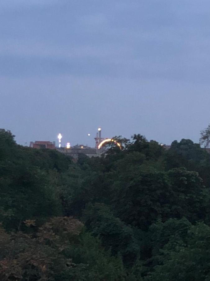 Augartenblick Penthauscombo 14/15 - Blick Zum Riesenrad *