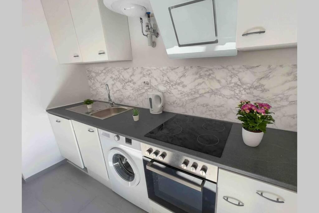 Cosy Studio Near Central Station Apartment Vienna