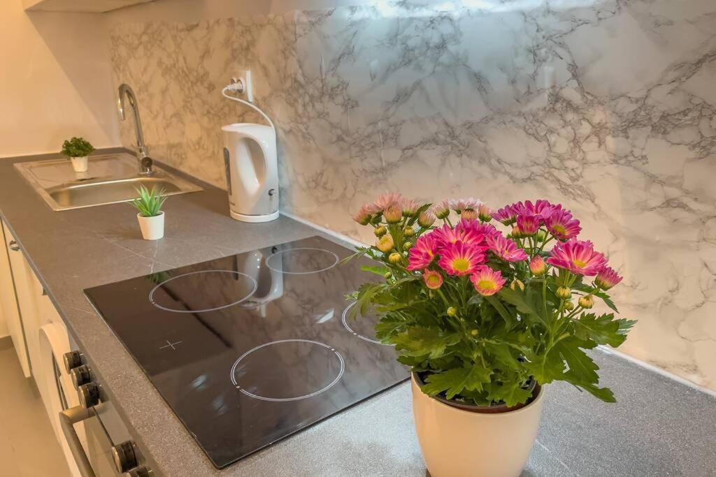 Cosy Studio Near Central Station Apartment