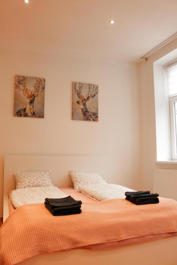 Sunny 10 Min Away From Stephansplatz! Apartment Wien