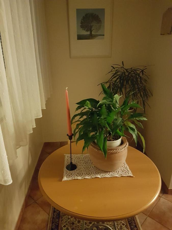 In Zentrumsnaehe Beim Hauptbahnhof Apartment *