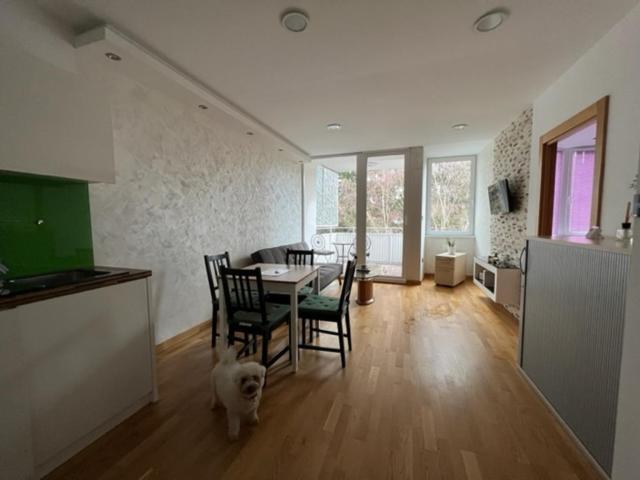 Schoenbrunn Luxury Apartment *