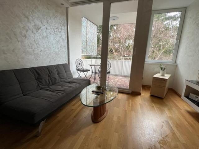 Schoenbrunn Luxury Apartment