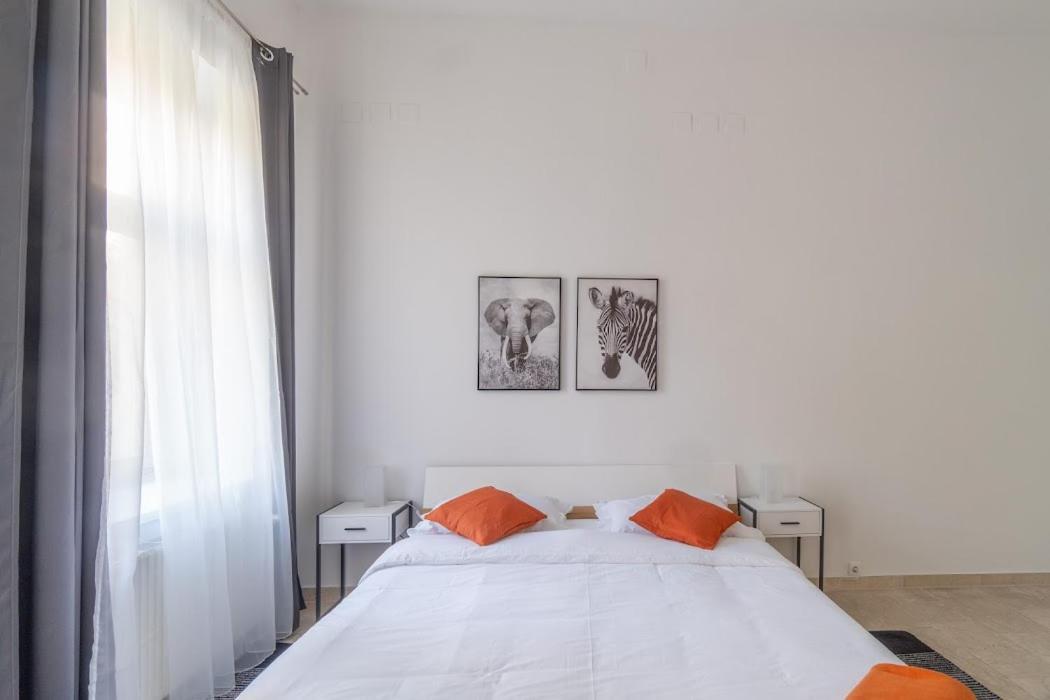 Centre Apartment