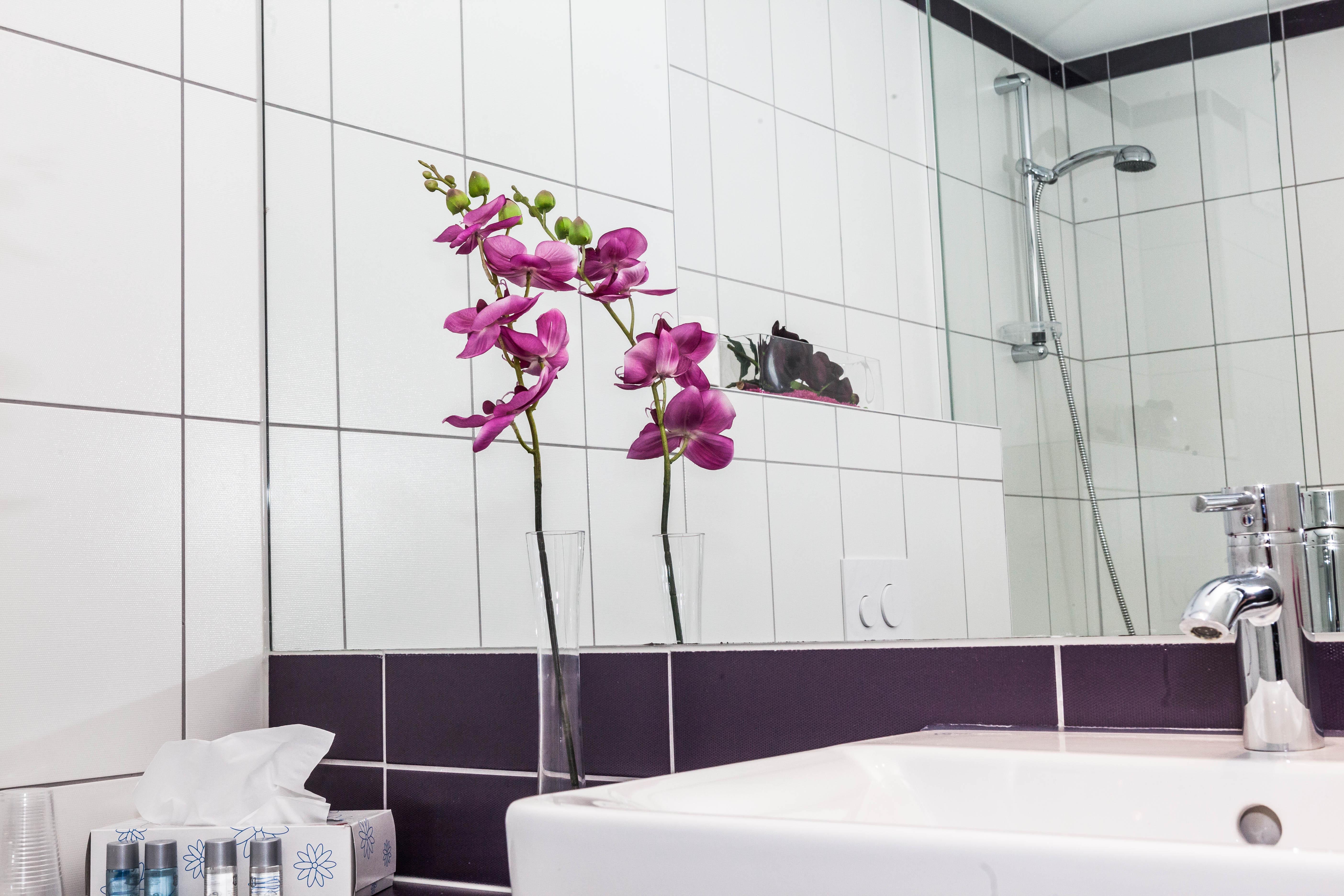 Hotel Elaya West 4*
