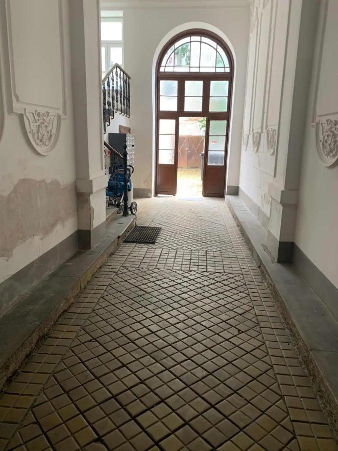 Apartment Your Stylish Basement Loft Close To Schonbrunn *