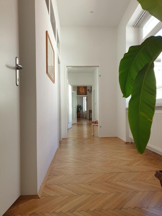 Sunny And Spacious Near Centre Apartment