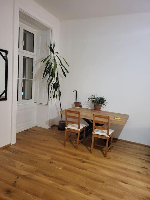 Apartment Sehr Zentral Gelegen Vienna