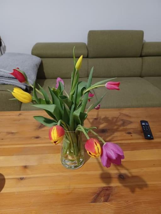 Apartment Sehr Zentral Gelegen