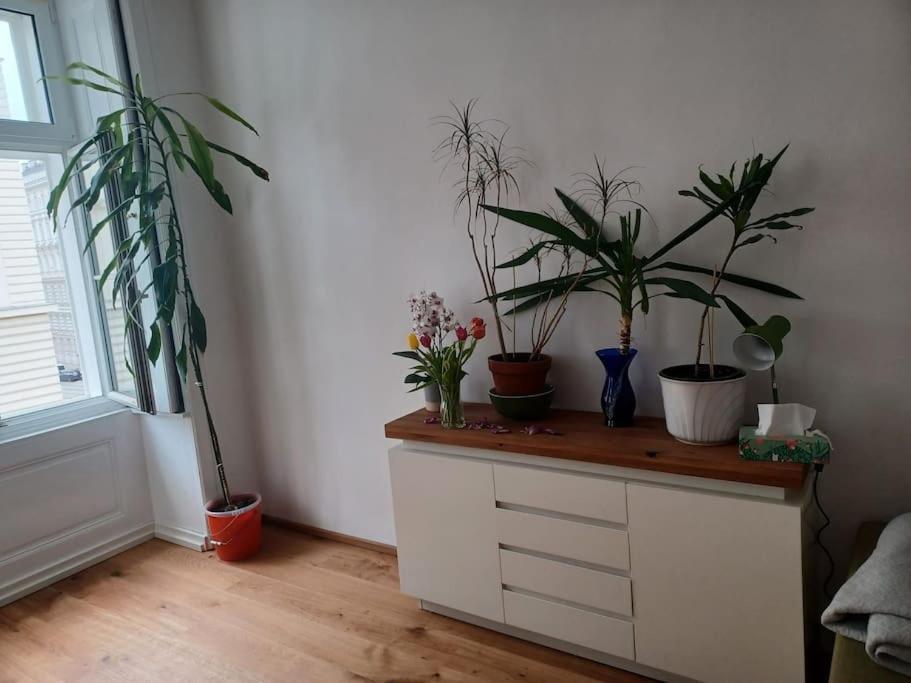 Sehr Zentral Gelegen Apartment Vienna