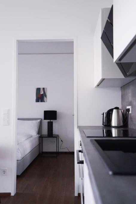 Exclusive With Pool And Terrace Apartment Vienna