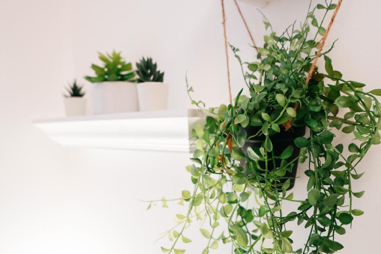 Designwunder Hardtmuth Apartamento