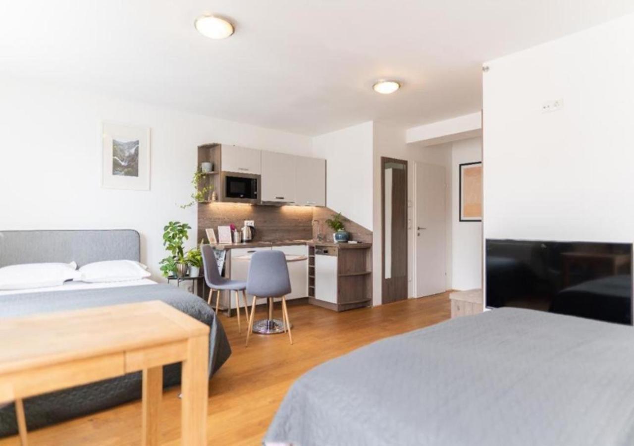 Triester Apartment