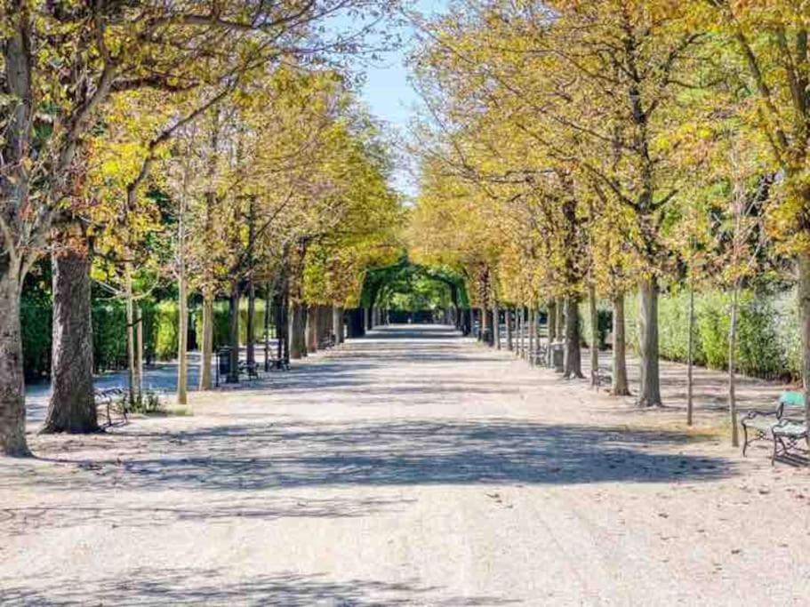 Center Apt In Best Area Near Park & Danube 20'to Airport Vienna