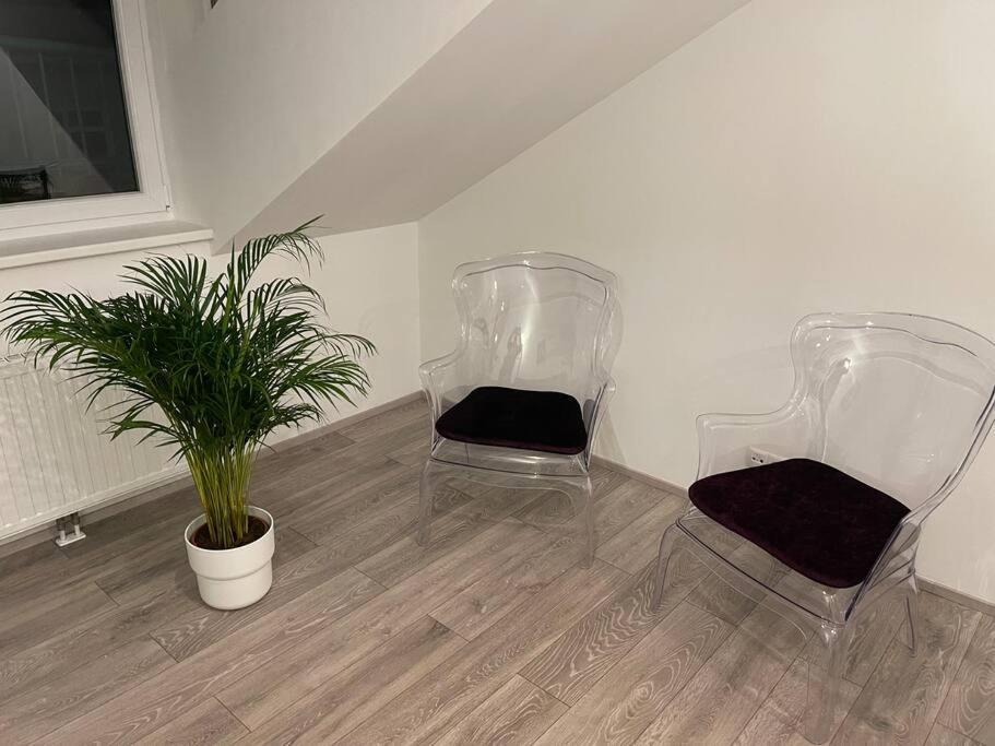 Dachterrasse Fuer 4 Personen * Wien