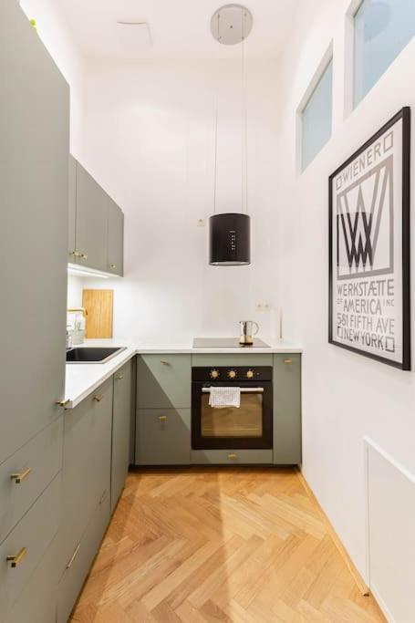 Center Apt In Best Area Near Park & Danube 20'to Airport * Vienna