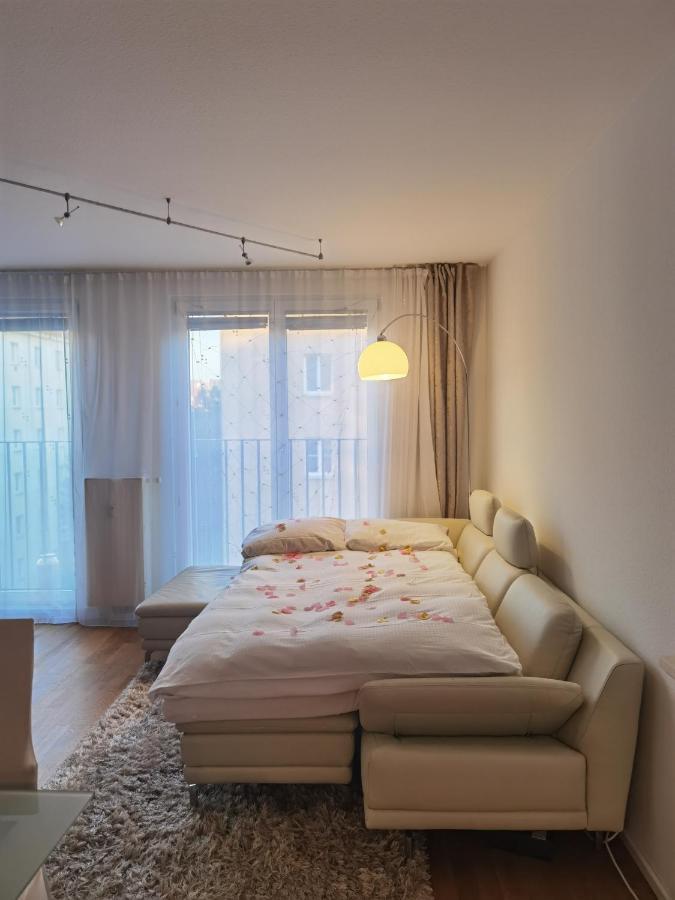 Apartamento Modernes Studio-apartment Nahe Zentrum Mit Garagenplatz *