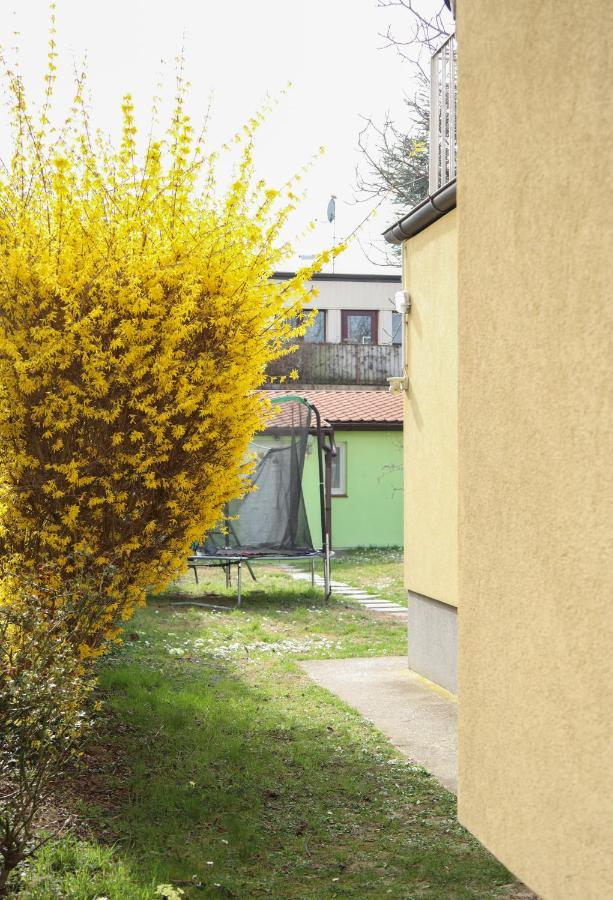 Small-comfy In Donaustadt Garden - Not Shared! * Vienna