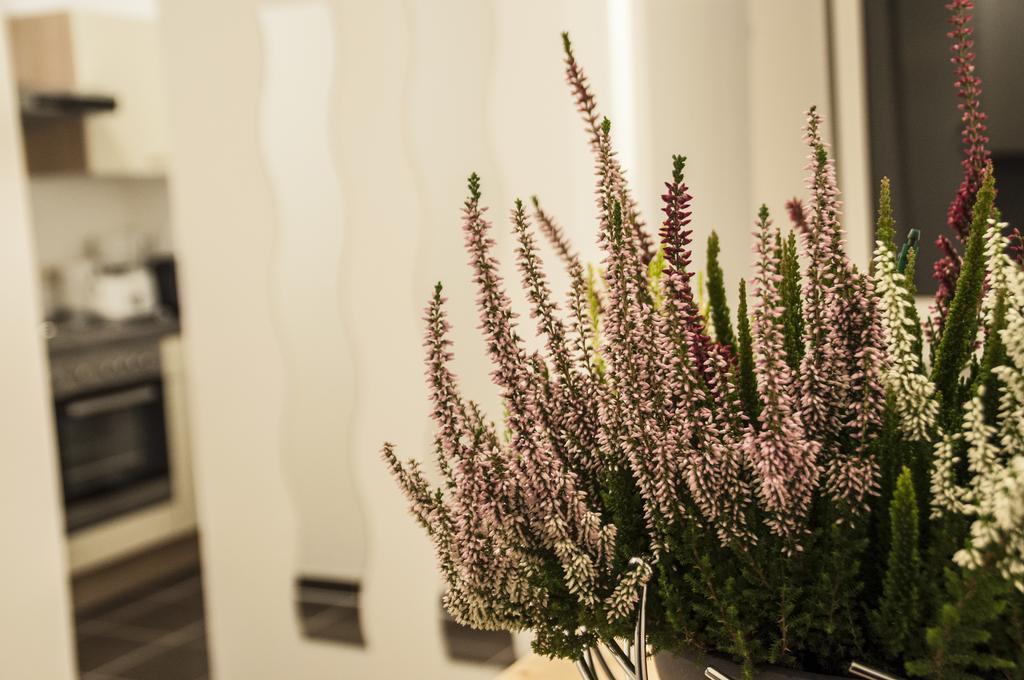 Urban Flats Danube Apartment *