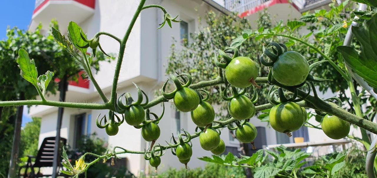 Naturgespuer In Apartamento