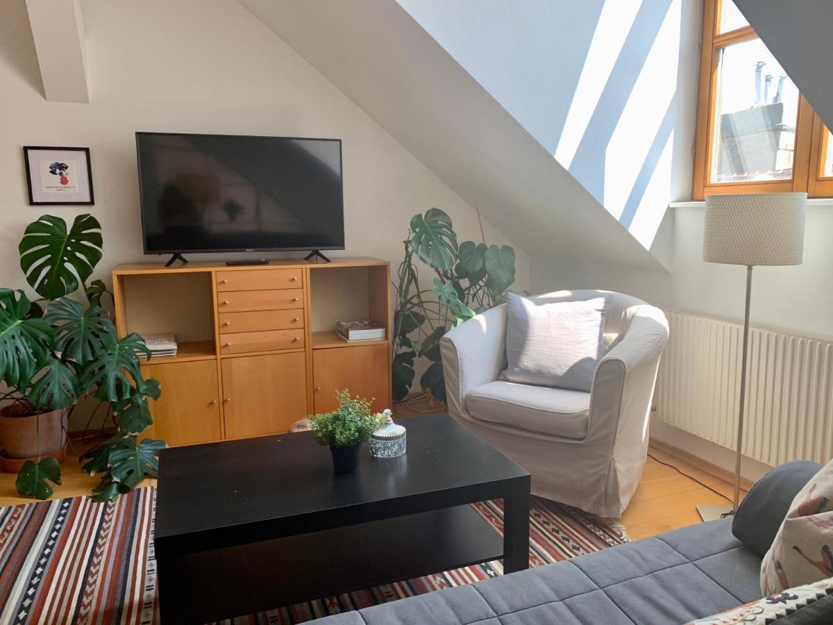 Apartment Loft
