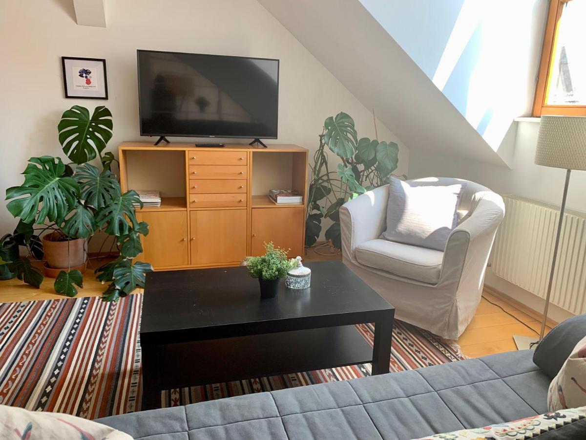 Apartment Loft