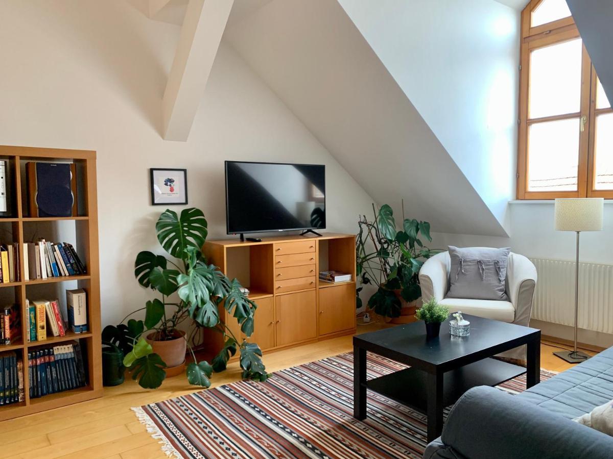 Apartment Loft