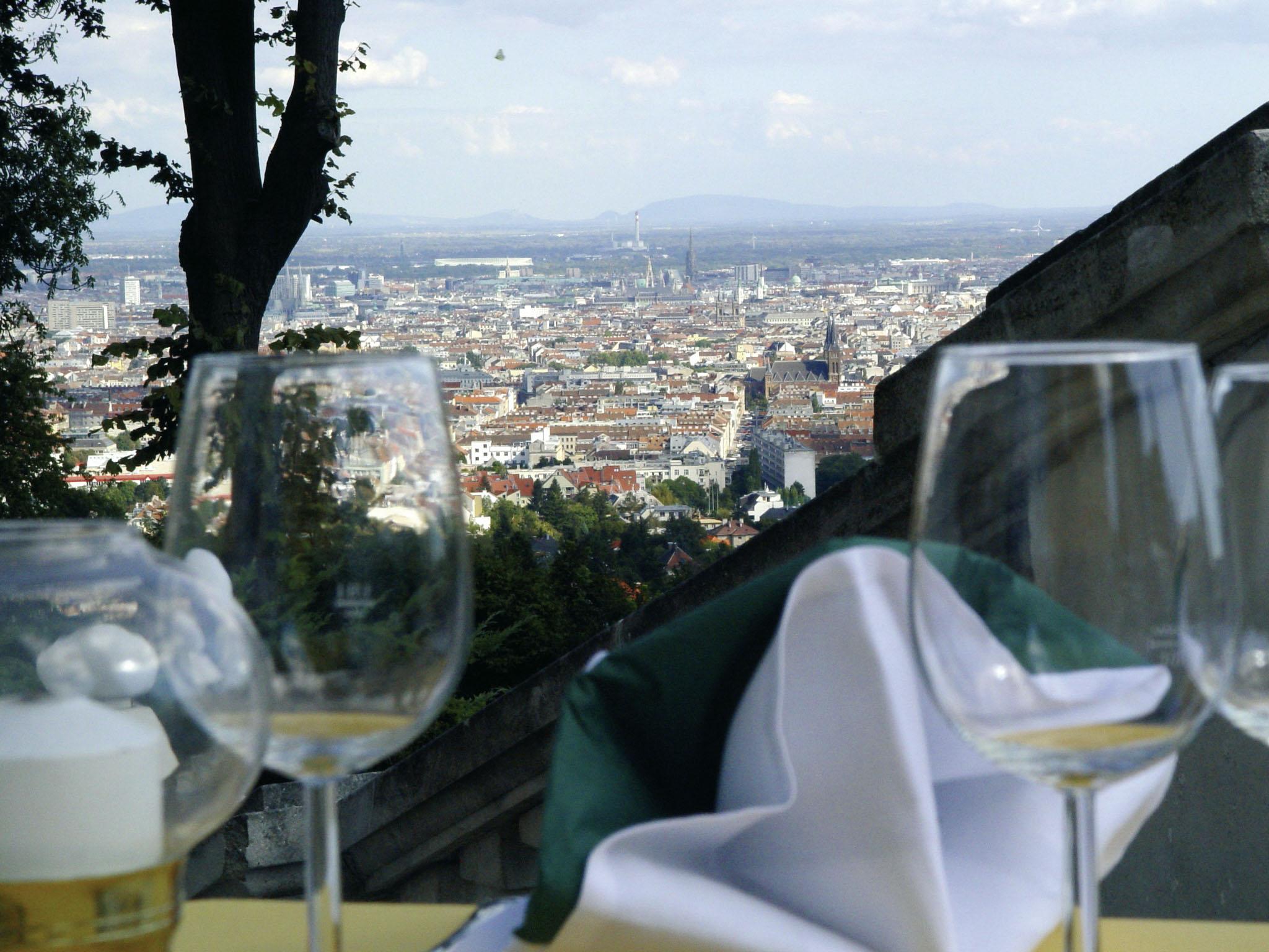 Austria Trend Schloss Wilhelminenberg 4* Vienna