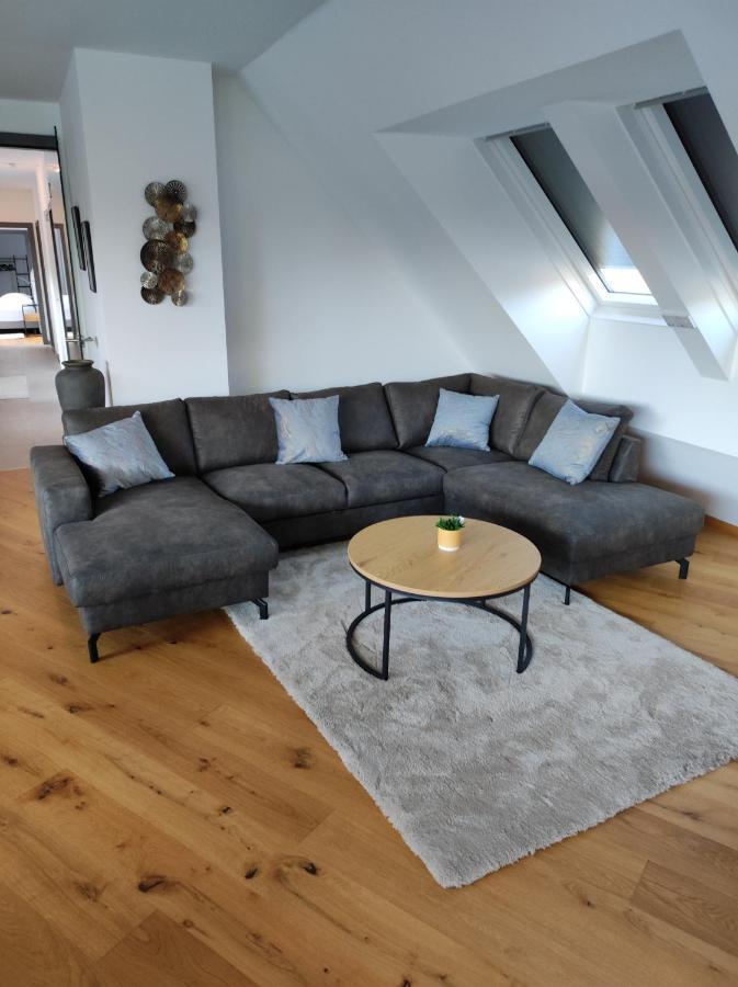 Luxurioeses Penthouse Mit Blick Auf Uno-city Und Dem Kaiserwasser. 3schlafzimmer, 2 Baeder, Privat Lift Ins * Wien